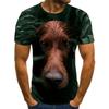 Summer Round Neck 3D Pet Dog Print Top Fashionable Casual Short Sleeved Men's T-shirts