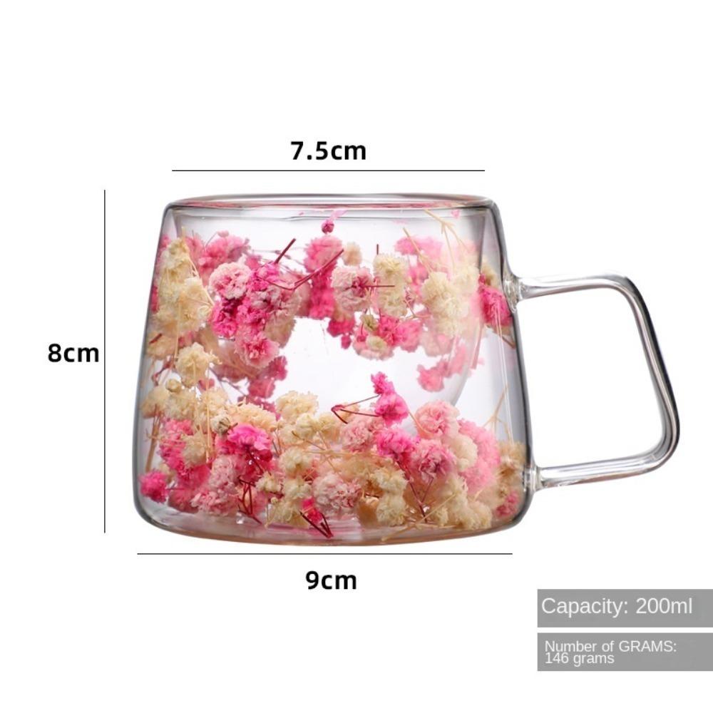 Double-layer Double-layer Glass Cups Clear Glass Beverages Storage New Latte Cup  Home