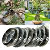 Aluminum Bonsai Wire Garden Bonsai Shape 1//2//3//4//5/6/7mm Bonsai Training Wire 5/10M Plant Support Plant Shaping Tool