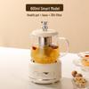 "Multi-functional Glass Tea Maker Kettle for Home and Office - Small Electric Flower Teapot Gift"