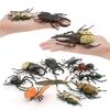 Insect Animal Model Pvc Collection For Educational Display And Collection Enthusiasts