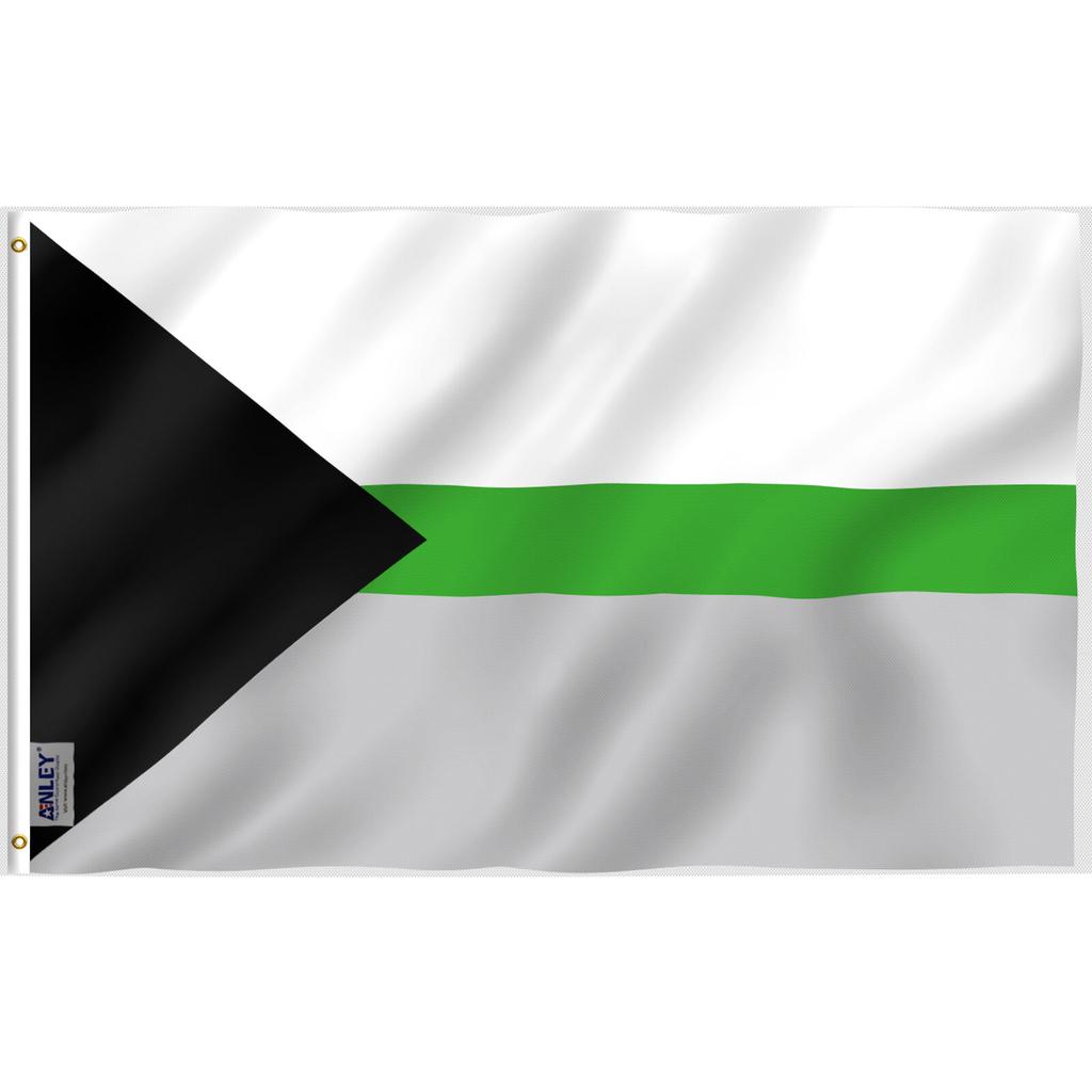 Anley Fly Breeze 3x5 Foot Demiromantic Pride Flag - Demiromantic LGBT Flags