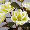Real Touch Artificial Orchid Flower Branch Artificial Magnolia Faux Flowers  Home Office Decor
