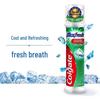 Colgate Fresh Cool Pump Toothpaste