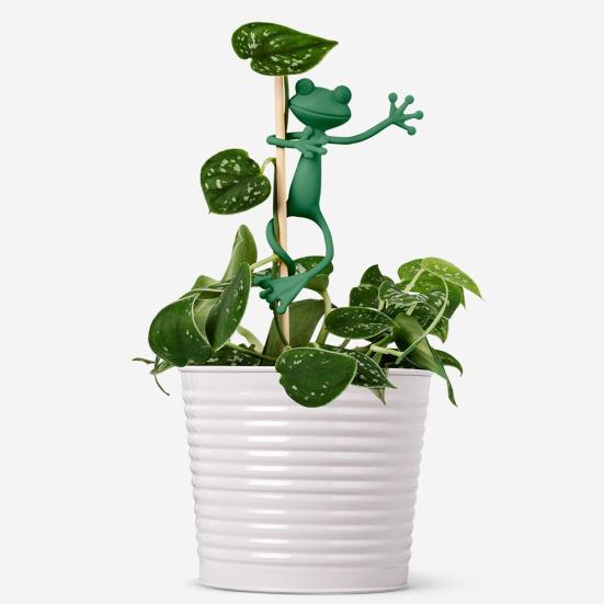 6 шт. Зеленая лягушка, опора для растений, держатель для стебля растения в форме лягушки, держатель для небольших горшечных растений, суккулентов, садовое украшение