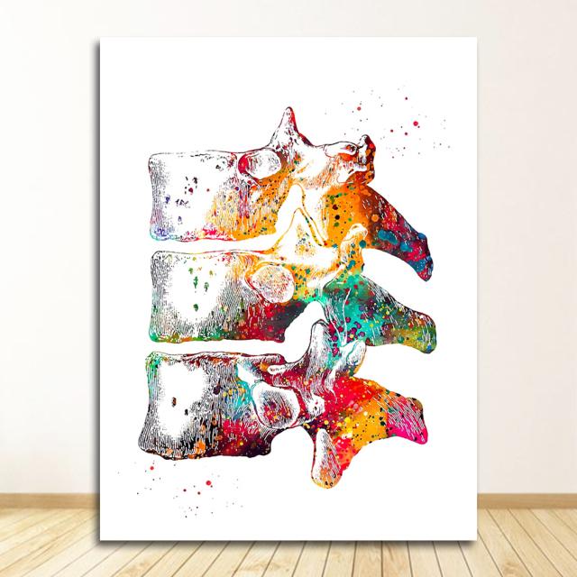 Медицинское образование, офисный постер, картина, настенная живопись на холсте, анатомия, картина мышц, гуманоид, украшение для дома, принт, Cuadros