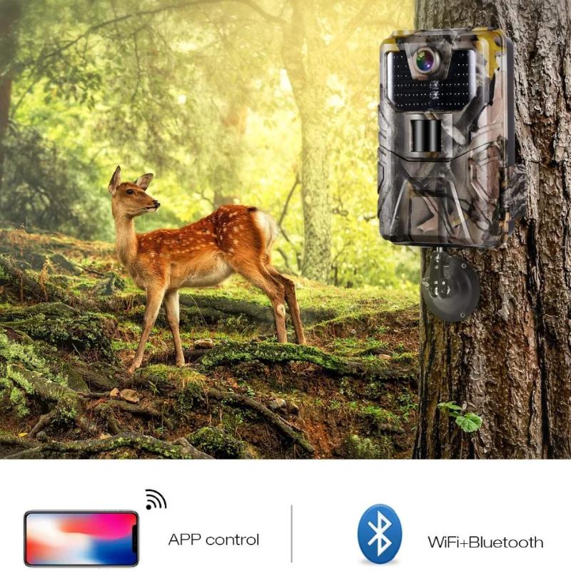 WIFI Камера слежения с прямой трансляцией 4K 30MP Управление через приложение Bluetooth Наружные камеры для охоты Ночное видение WIFI900PRO Наблюдение за дикой природой