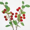 Green Leaves Mulberry Fruit Plants Faux Red Raspberry Fake Plants Artificial Raspberry Branch  Gift