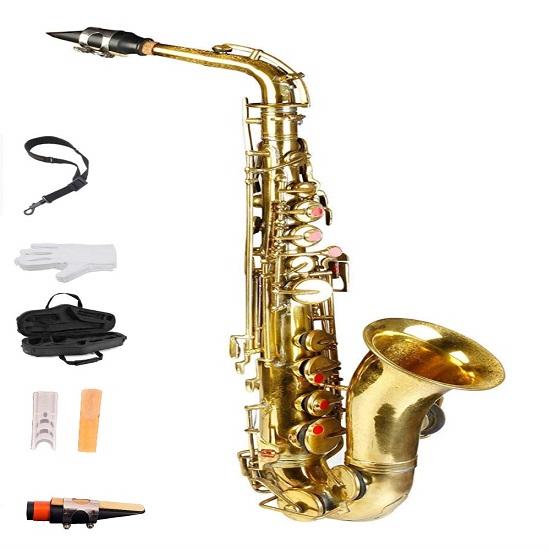 Sexophone Alt, Lacquered Finish, , Gloves and Extra Reed with Hard Case, Strap