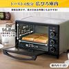 IRIS OHYAMA Convection Oven Airfryer Steam Toaster Silver FVC-D15B-S