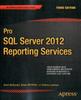 Книга Pro SQL Server 2012 Reporting Services