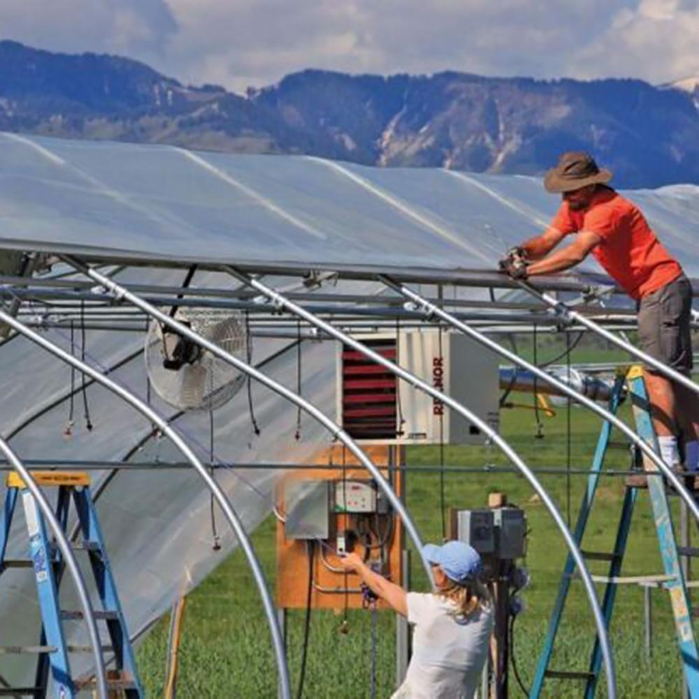 Цветы Пленочная теплица Фрукты ПЭ Садоводство Прозрачный пластиковый полиэтилен