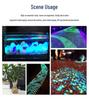 Glowing Marine Animal and Seashell Gemstone Toy for Aquariums by Luminous Stone