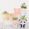 Cute Animal Resin Flower Pot Succulent Pot Planter Home Decor Indoor Decoration Desktop Ornaments Bonsai Plant Pot