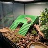 with Suction Cups Turtle Basking Platform Double Ladder Reptile Terrace  Aquatic Turtles