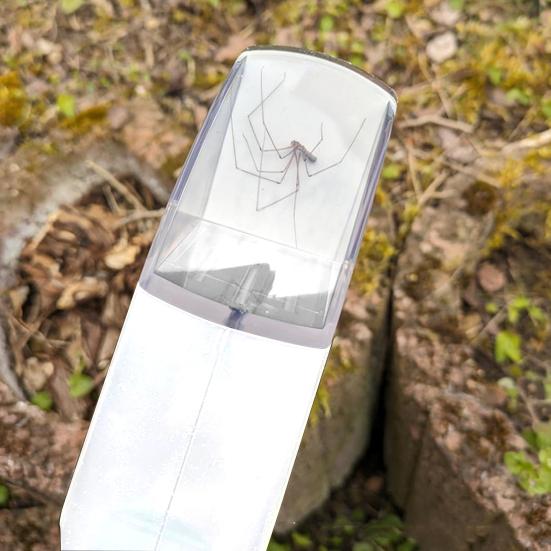 Ловушка для фруктовых мух для летающих насекомых, эргономичная, простая в использовании, быстросъемная вакуумная ловушка с длинным ведром и щеткой для пауков, тараканов, жуков, муравьев