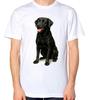 Black Labrador Dog Unisex T-Shirt