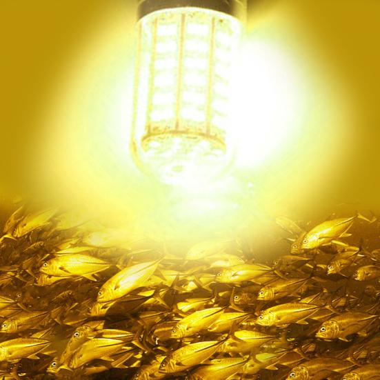 MUQZI Sports Accessory 12-24V LED Submersible Freshwater Saltwater Underwater Night Fishing Light Lamp