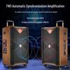 MALONE M-8910 Portable Bluetooth Karaoke Trolley Speaker CN plug (adapter included)