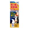 [Category 2 OTC Drug] BS Ban DX Lotion 100mL