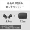 Sony Completely Wireless Earphones Compact and Lightweight Grams Fully Open Style Allows for Constant Wear Microphone Call Performance 12mm Driver