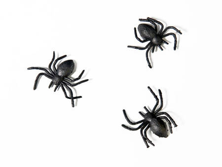 Plastic spiders, black: 1 pack/10 pcs.