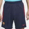 Новые повседневные шорты Nike для мужчин, черные DJ8593-451