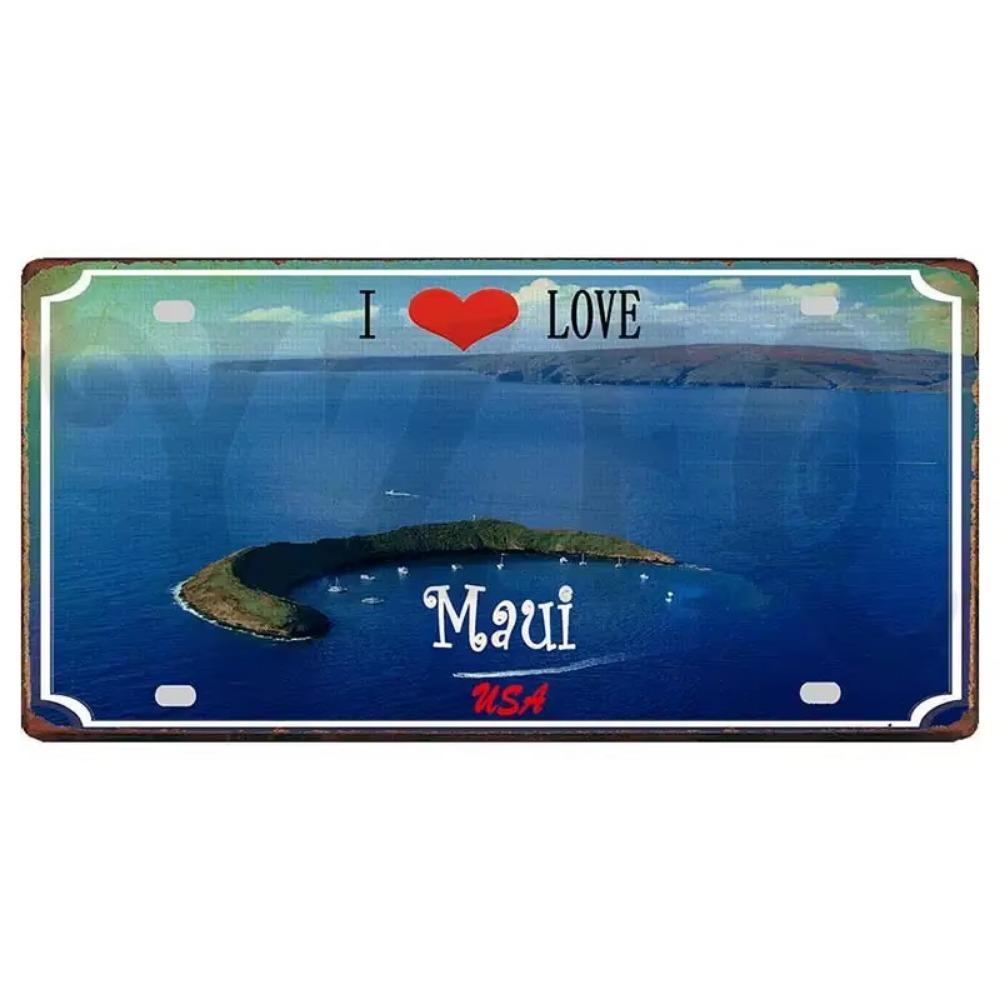 Flag Metal Retro Signs with Aesthetic Appeal Ideal Travel Souvenirs To Beautify Wall Decoration In Home Showcasing Vintage Style