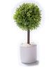 Nippon Insole Industry Interior Green Ornamental Plant Fake Mini Artificial Flower White with Pot Photocatalyst Deodorizing Disinfecting Made In