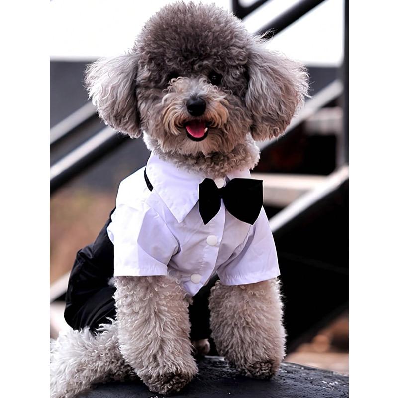 1 шт. Охлаждающая рубашка для питомца, Дизайн на 4 лапы, Формальный воротник, Одежда для кошек и собак