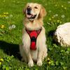 Anti-Pull Dog Harness Padded Dog Harness with Step-In Design No Pull Control Harness with Adjustable Straps for Dogs of All Sizes