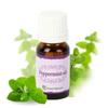 Green Natural Peppermint Oil 10ml Aroma Natural Soap Cosmetic Raw Materials