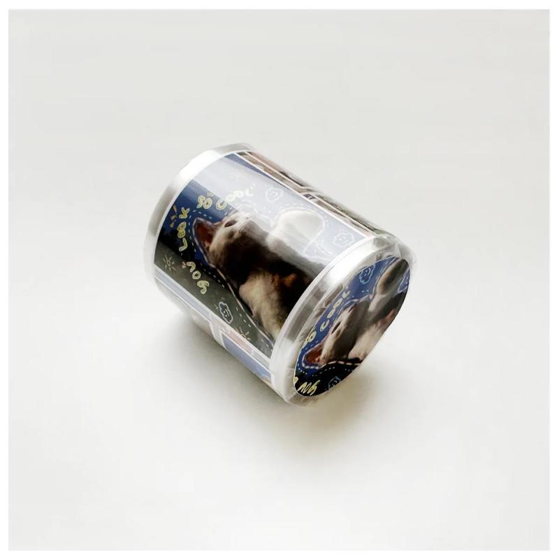 1 рулон наклеек для скрапбукинга ПЭТ-наклейки с персонажами Ленточные малярные ленты Ваcи Летний отдых для творчества Поделки Альбом Журнал Планировщик