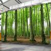 3D Wallpaper Modern Green Forest Tree Wall Mural Living Room TV Sofa Restaurant Background Wall Murals