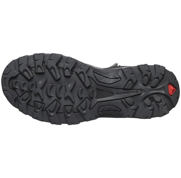 Треккинговые ботинки Salomon Quest Rove GTX