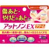 AT NON cEX Cream 15g Other (check Locks, Tongue Cleaners, Etc.) Lumps and Tightness of the Skin After Cuts and Burns (except