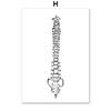 Wall Art Print Canvas Painting Human Anatomy Abstract One Line Bone Heart Tooth Nordic Poster Decor Pictures Medical Office Room