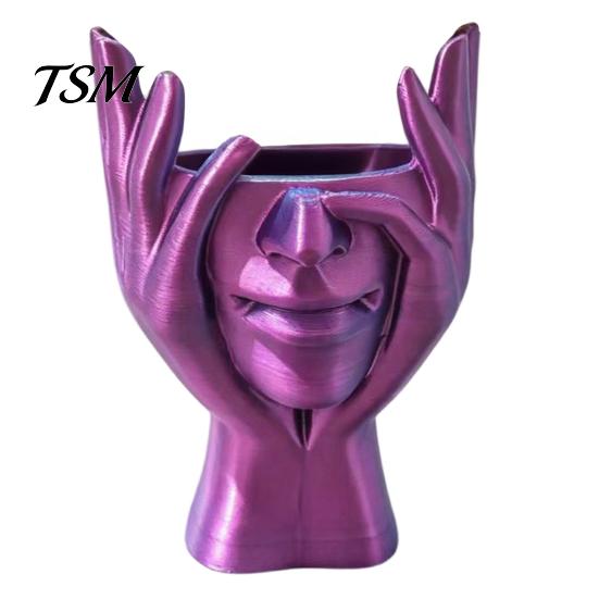 Multifunctional Desktop Bin 3D Printed Face Vase, Face-Holding Pen Holder Art Decor, Creative Makeup Brush Abstract Holder, Flower Arrangement