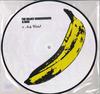 Виниловая пластинка VELVET UNDERGROUND NICO Velvet Underground Nico Picture 999051LPP VINYL LOVERS 2008 Европа Рок