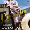 Brooklyn by Colm Toibin Paperback Book 9780141041742