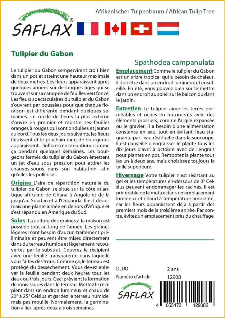SAFLAX Африканское тюльпановое дерево - 30 семян - С горшечным субстратом для лучшего выращивания - Spathodea Campanulata