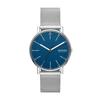 Skagen Signatur SKW6904 Men's Silver Watch