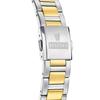 Montre Homme FESTINA SOLAR ENERGY en Acier Bicolore - 244213 - Quartz - Analogique