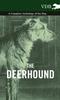 Книга The Deerhound - A Complete Anthology of the Dog -