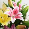 3 Heads Fake Lily Bouquet Silk Wedding Bridal Bouquet Artificial Lily Flower  Living Room Decor