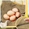 6 PCS Chicken Nesting Pads 12x12 Inchs Laying Hen Nesting Pad Thickened Washable Coconut Fiber Nesting Box Liners Pet Pad