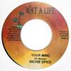 7inch Record RICHIE SPICE / IZANA - Your Mind / Organize Yuh Self NONE Wat A Life 2003 Jamaica Reggae, Ska & Dub Used
