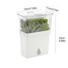 Large Capacity Fresh Herb Keeper Plastic Herb Lettuce Keeper Vanilla Bean Storage Box  Mint