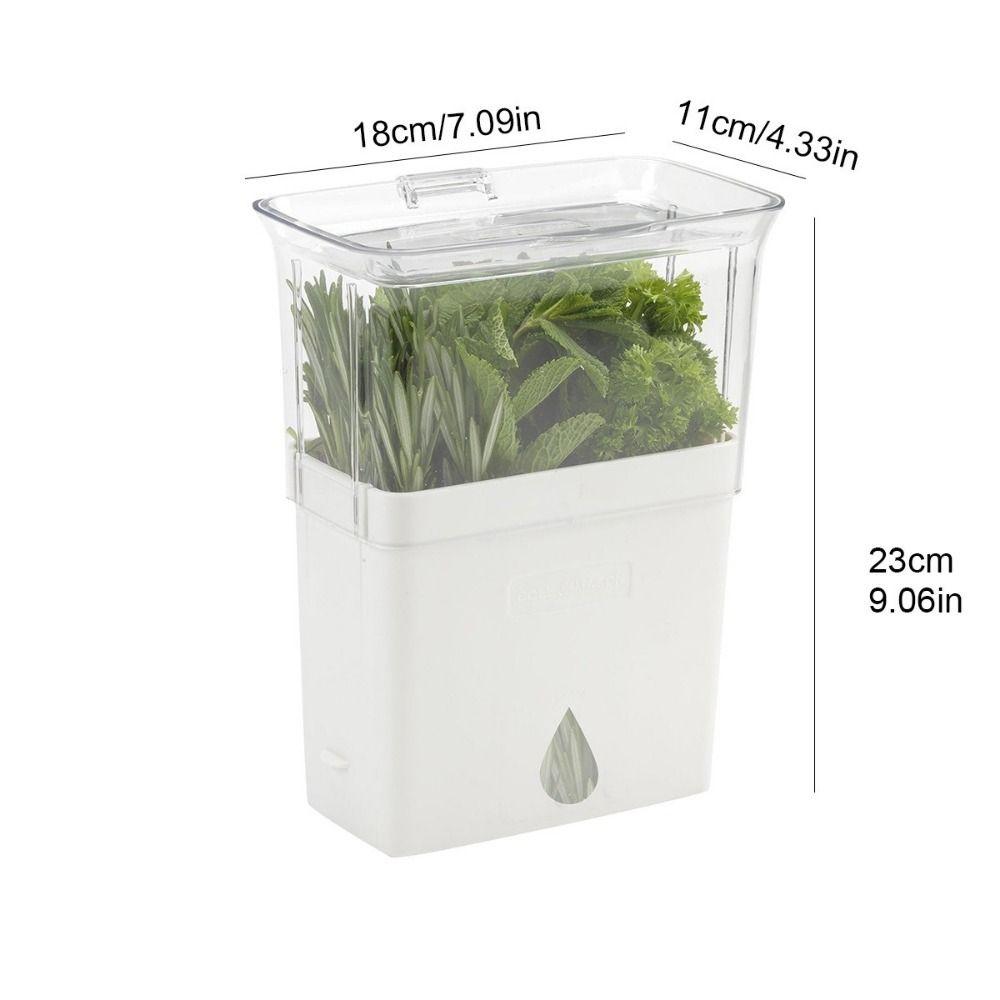 Large Capacity Fresh Herb Keeper Plastic Herb Lettuce Keeper Vanilla Bean Storage Box Mint