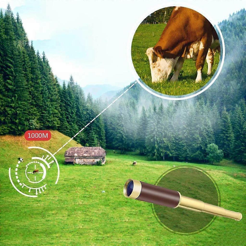 Pirate Monocular Telescope for Kids & Adults, Handheld Collapsible Brass Telescope 25x30 Zoomable Portable Pirate Spyglass for Cruise Ship Travel Watc